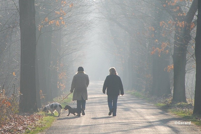 Mooi licht in Beverbeek.JPG - Mooi licht in Beverbeek